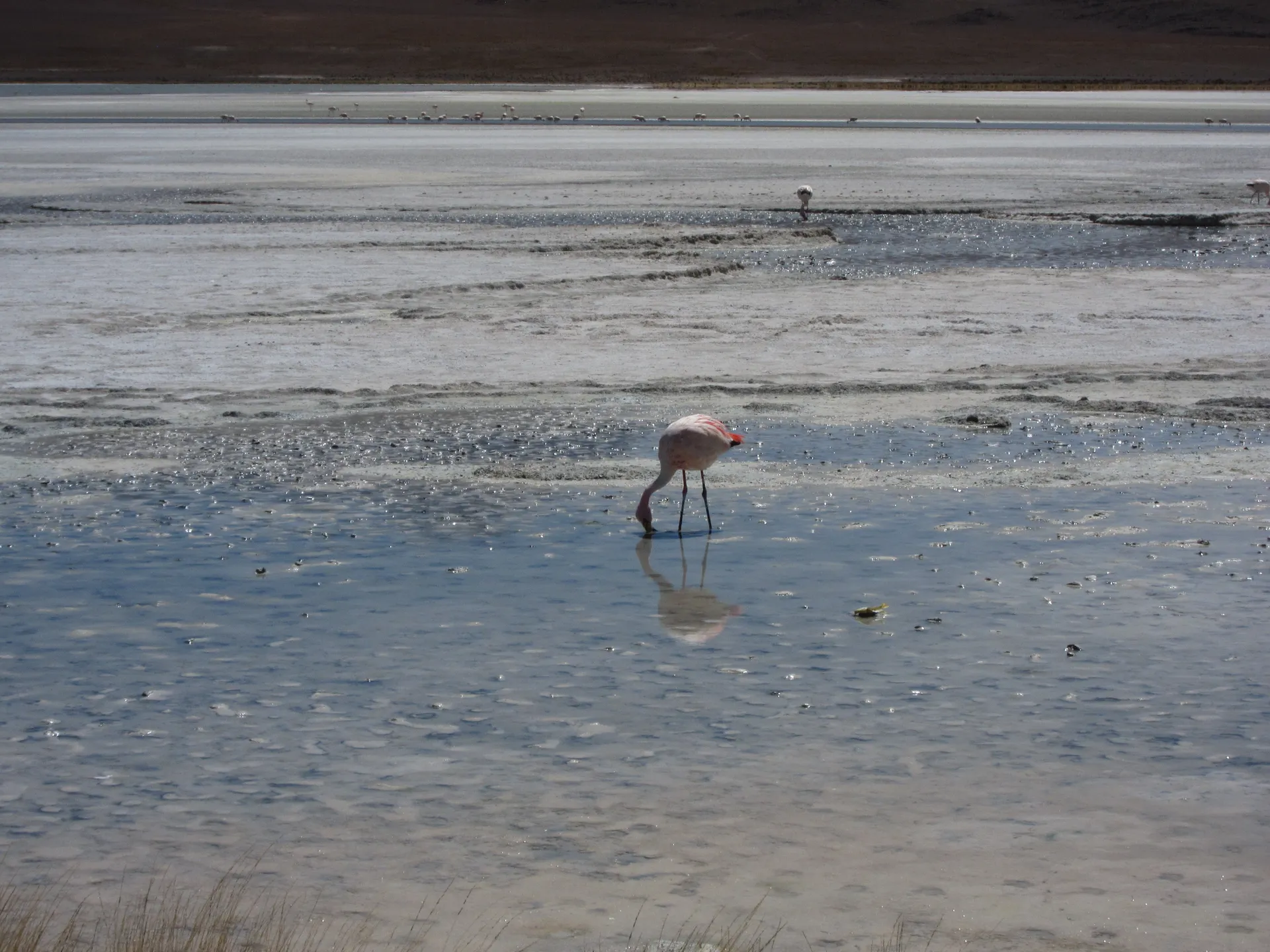 Electrical Conductivity – Water Quality Measurements