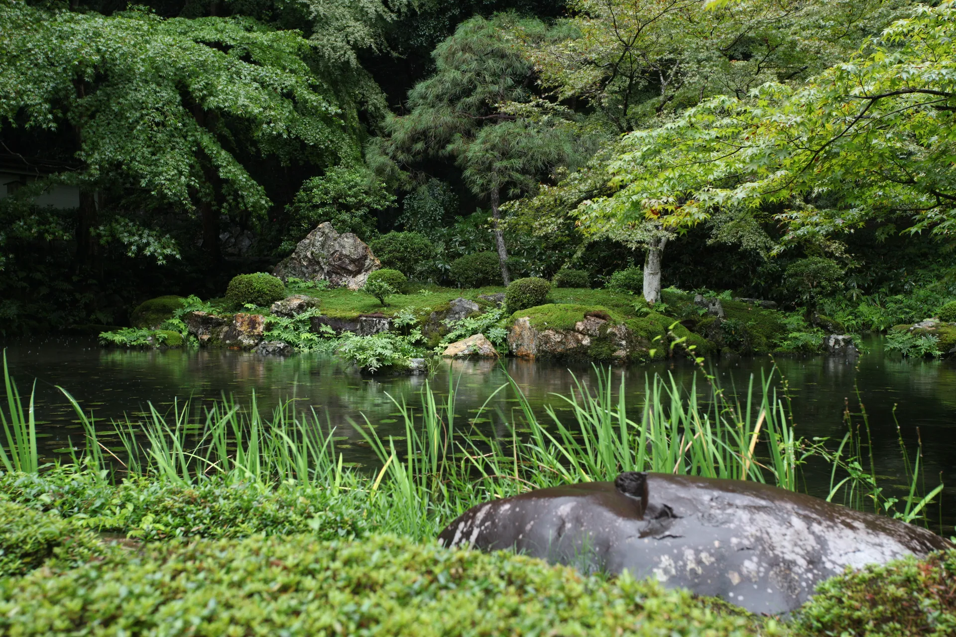 Water turbidity – why it is an important water quality measurement.